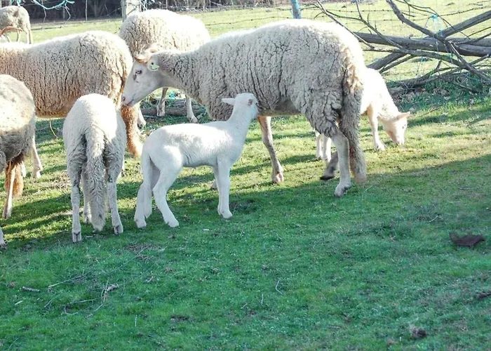 Spacious House With Mountain View In Fernando